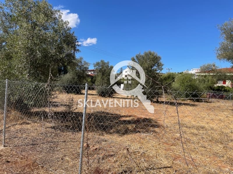 Οικόπεδο στην Βορινέζα, Αρτέμιδα (Λούτσα) — Φωτογραφία 3 από 4