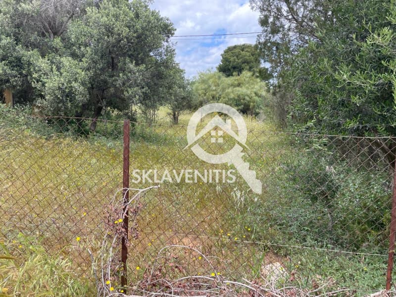 Οικόπεδο στην Βορινέζα, Αρτέμιδα (Λούτσα) — Φωτογραφία 3 από 3