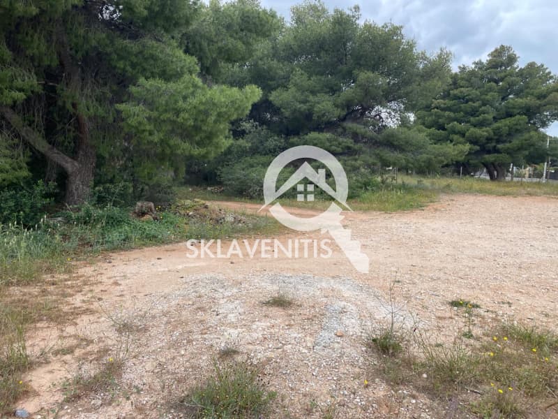 Οικόπεδο στην Βορινέζα, Αρτέμιδα (Λούτσα) — Φωτογραφία 1 από 6