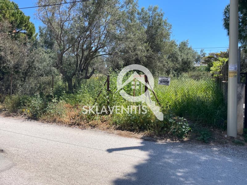 Οικόπεδο στην Βορινέζα, Αρτέμιδα (Λούτσα) — Φωτογραφία 3 από 6