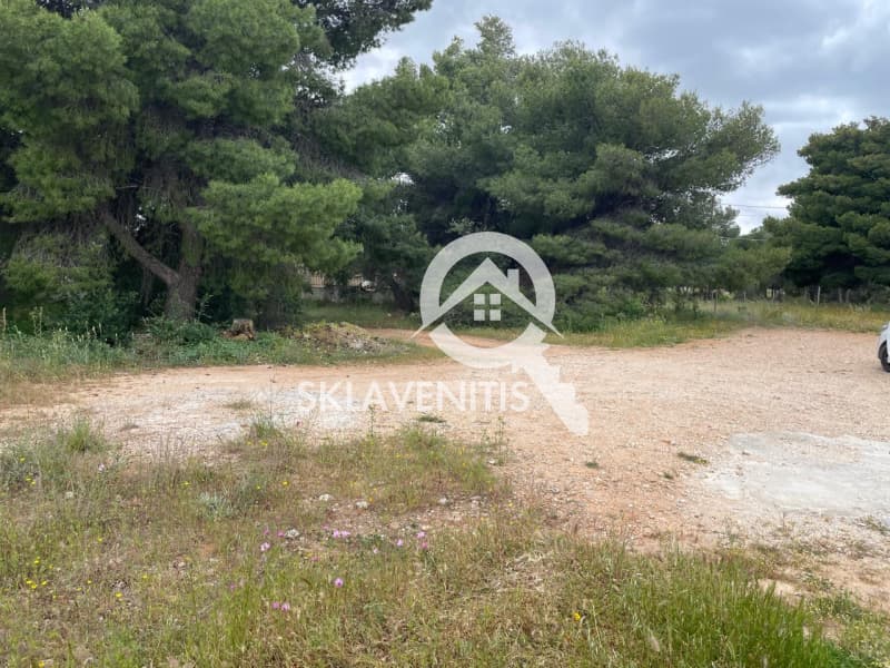 Οικόπεδο στην Βορινέζα, Αρτέμιδα (Λούτσα) — Φωτογραφία 5 από 6