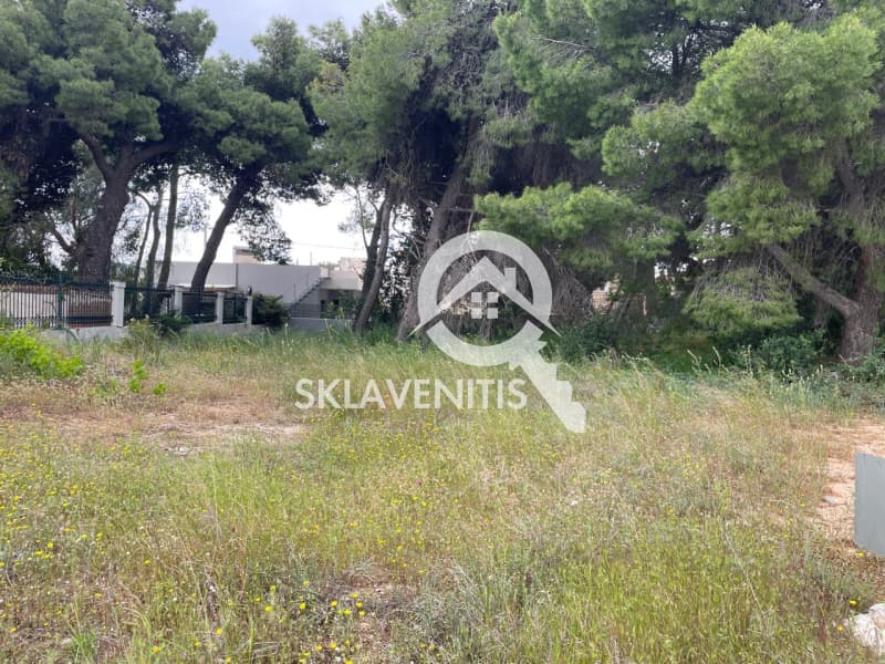 Οικόπεδο στην Βορινέζα, Αρτέμιδα (Λούτσα) — Φωτογραφία 4 από 6