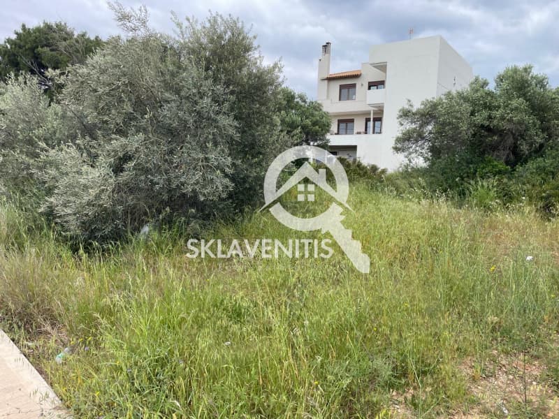 Οικόπεδο στην Άγιος Σεραφείμ, Αρτέμιδα (Λούτσα) — Φωτογραφία 3 από 4