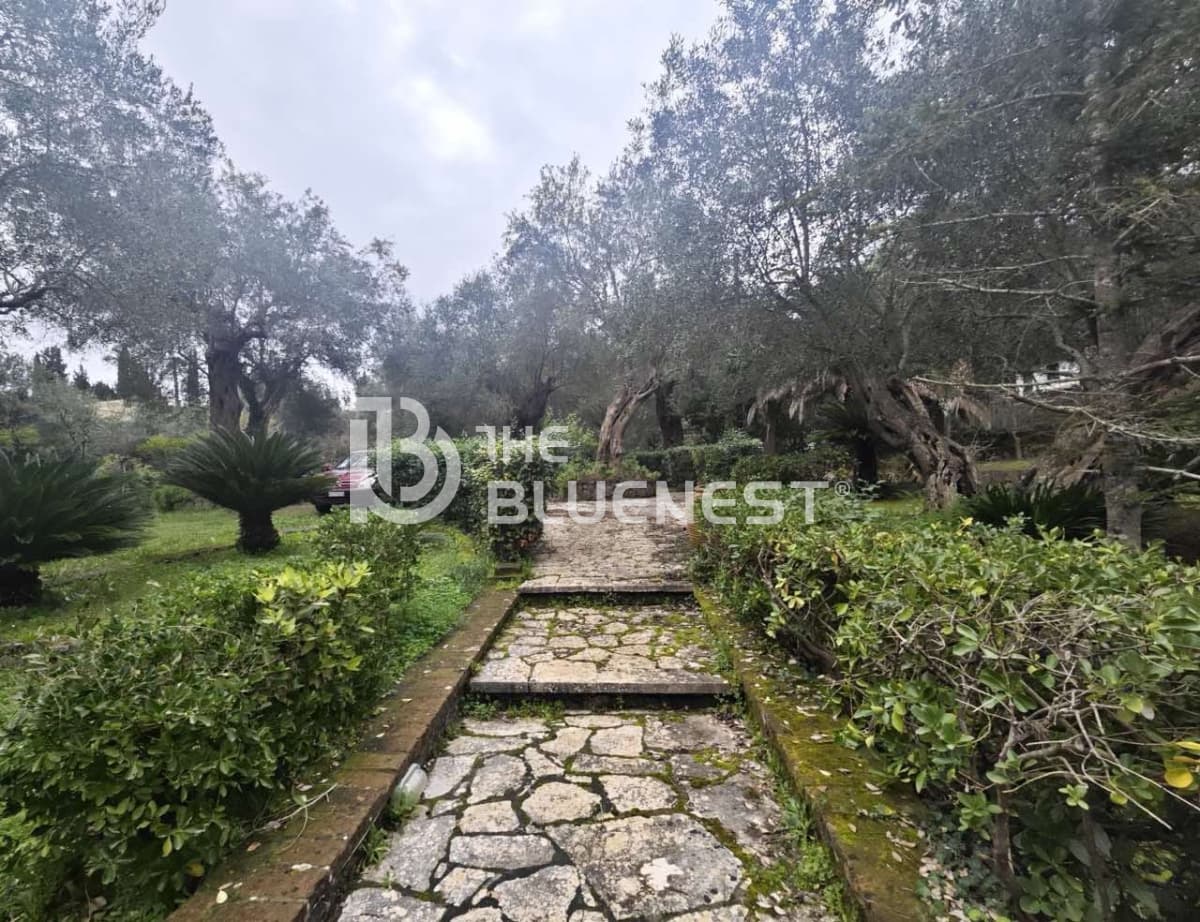 House in Achilleio, Corfu — Photo 10 of 24