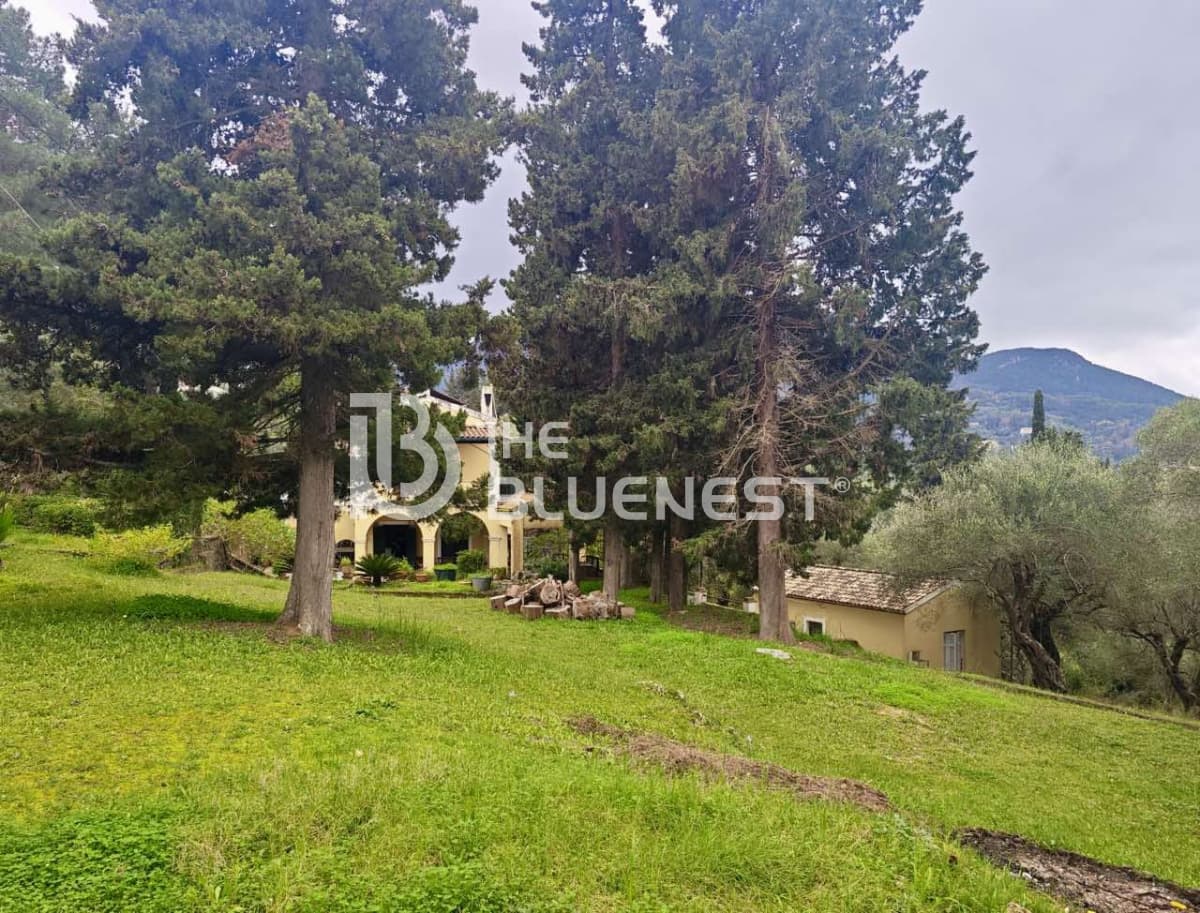 House in Achilleio, Corfu — Photo 4 of 24