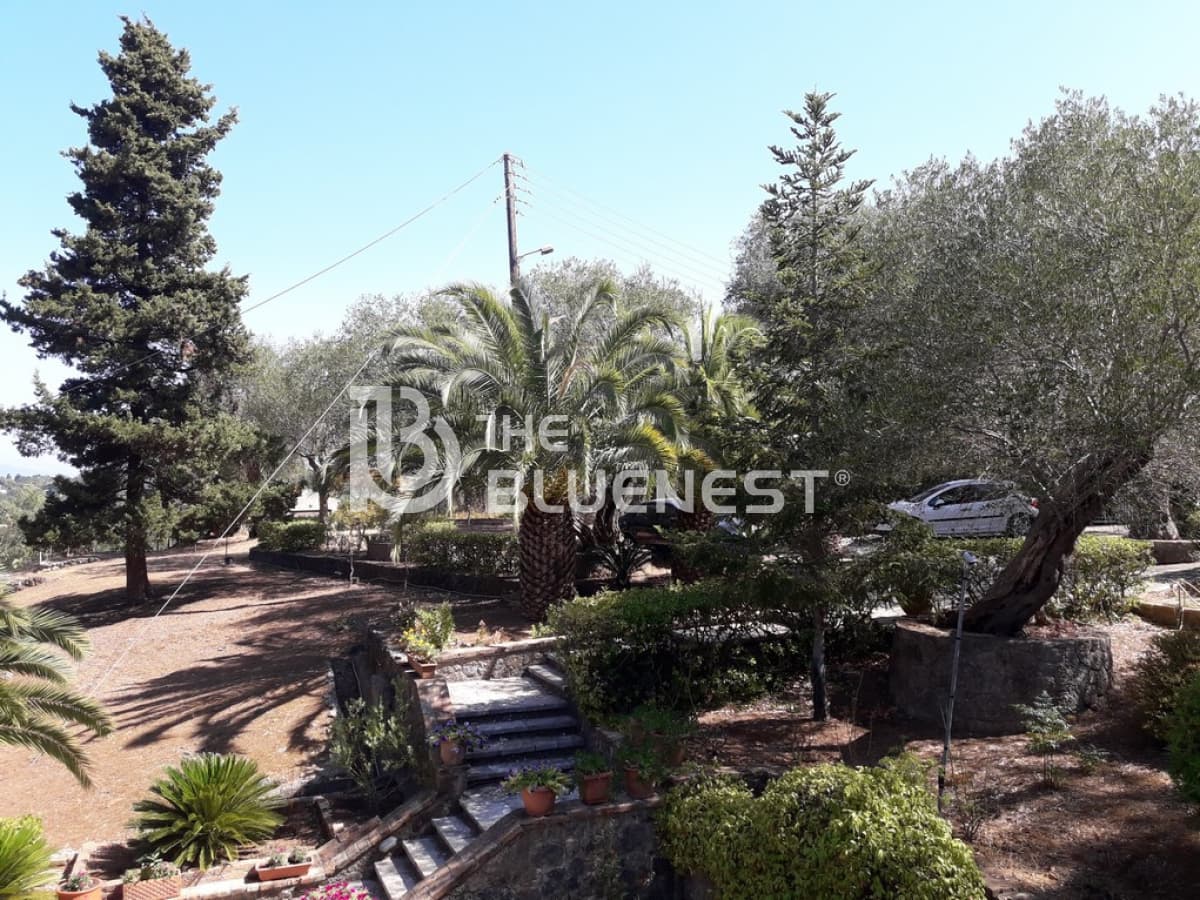 House in Achilleio, Corfu — Photo 18 of 24