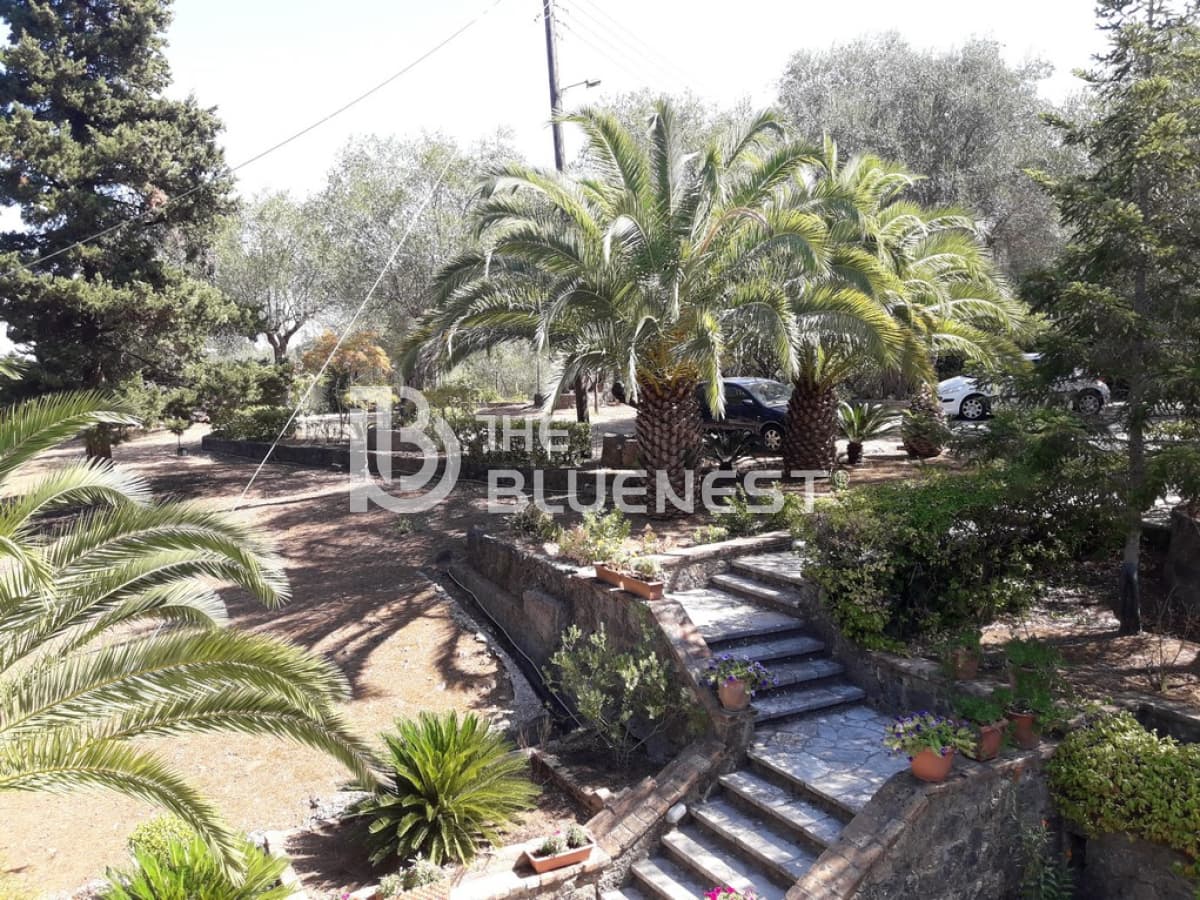 House in Achilleio, Corfu — Photo 3 of 24