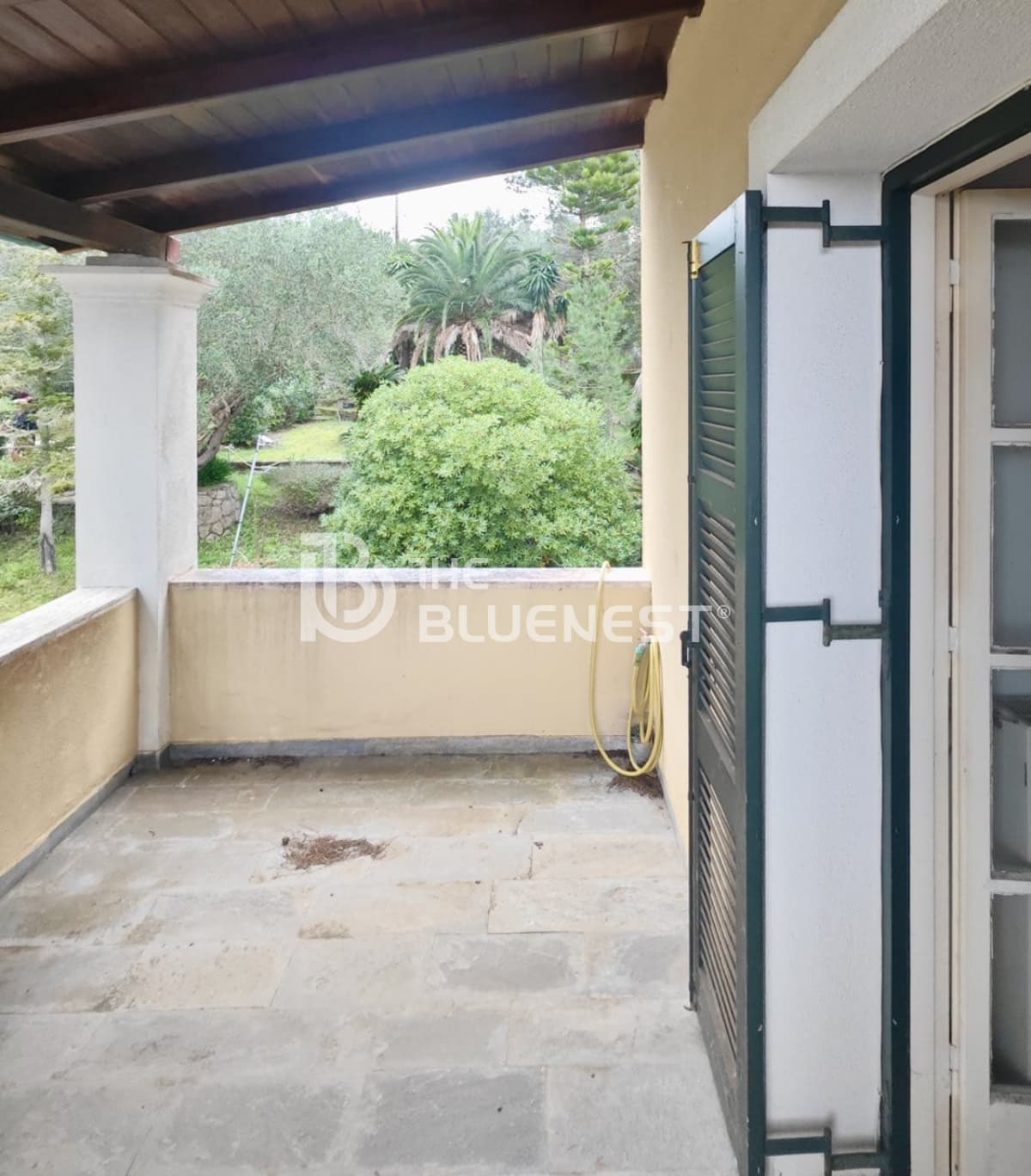 House in Achilleio, Corfu — Photo 12 of 24