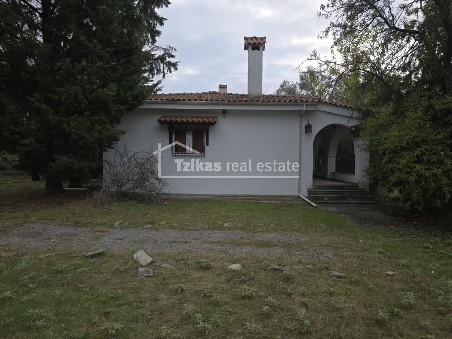 House in Lakkia, Vasilika — Photo 15 of 20